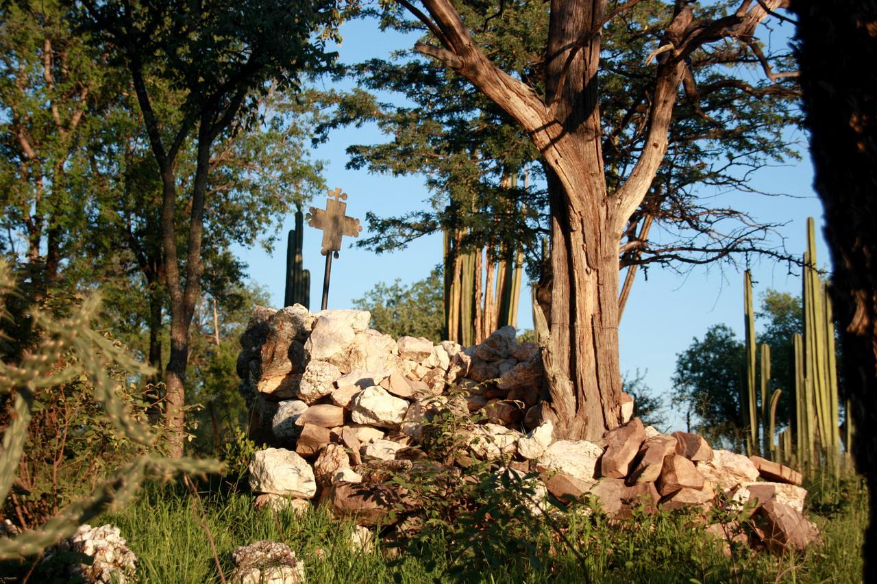 Ghaub Nature Reserve & Farm - One Namibia Grootfontein Eksteriør billede